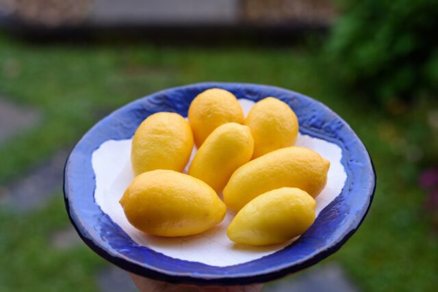 Limequat