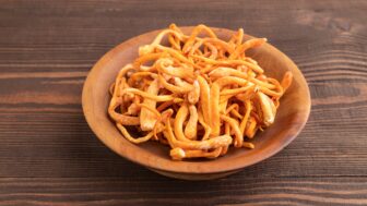 Cordyceps
