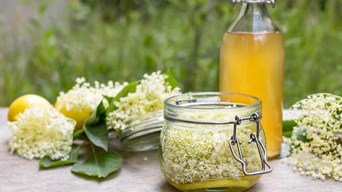 bazový sirup
