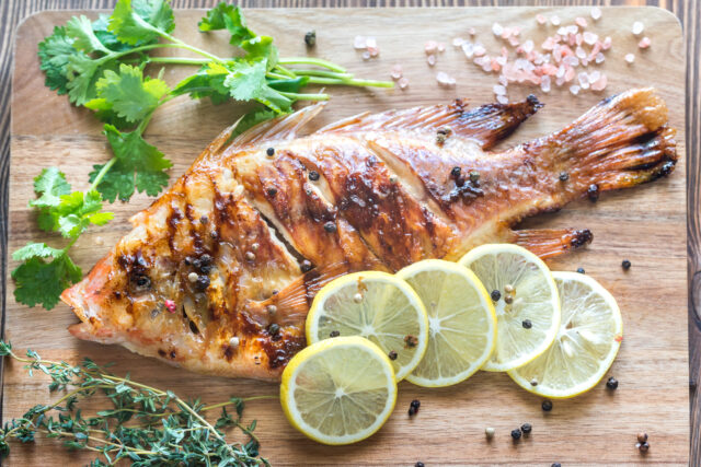 tilapia