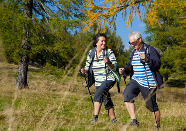 nordic walking