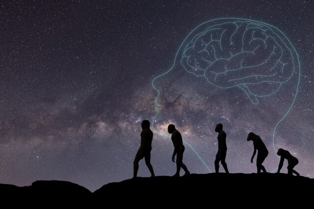 evolúcia