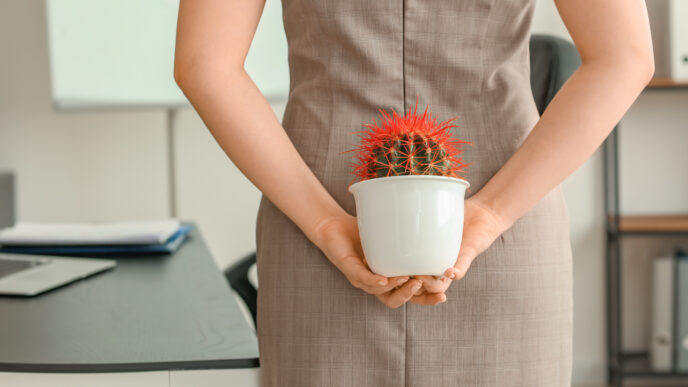 obrázok ukazujúci na problémy s hemeroidmi