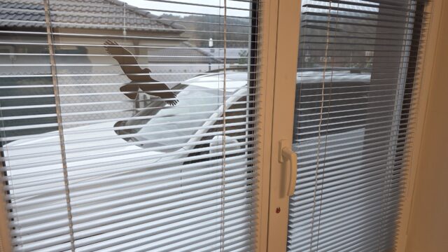 Prach zo žalúzií odstránite rýchlo, jednoducho a takmer bez námahy