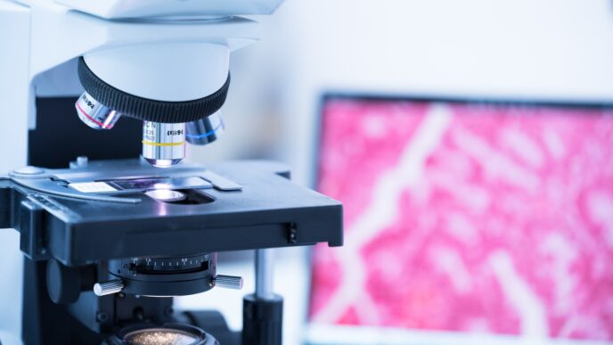 výskum nádorových buniek