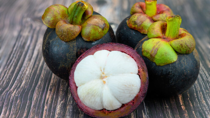 mangostan