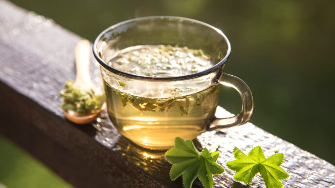 čaj z alchemilky