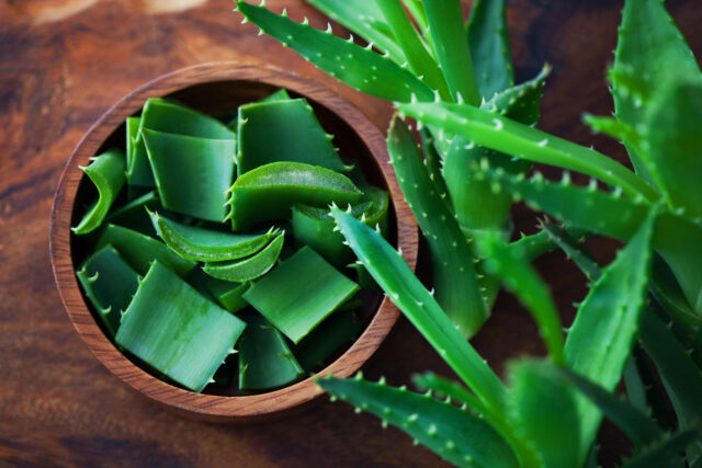 Aloe vera