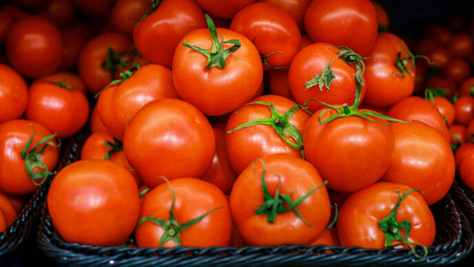 Paradajky