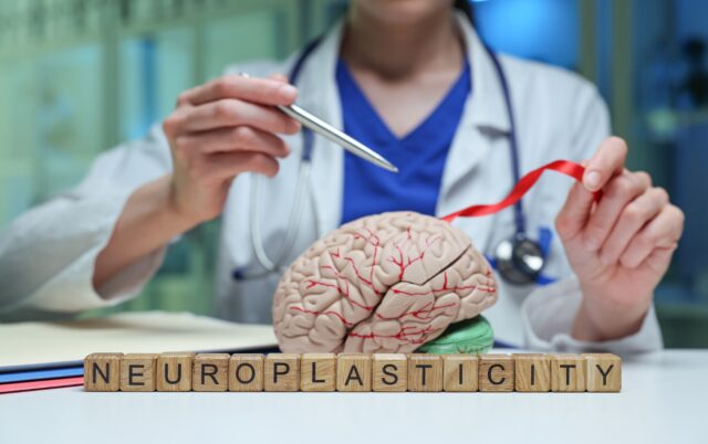neuroplasticita