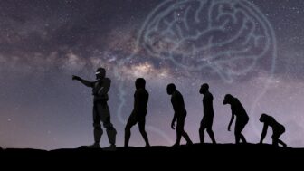 Evolúcia
