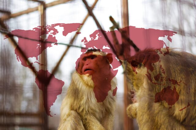 mpox