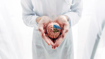 Mozog