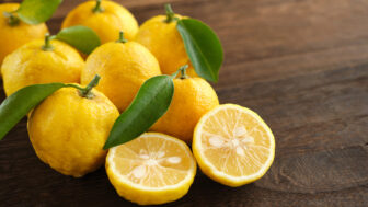 Yuzu