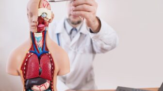 doktor ukazujúci na mozog