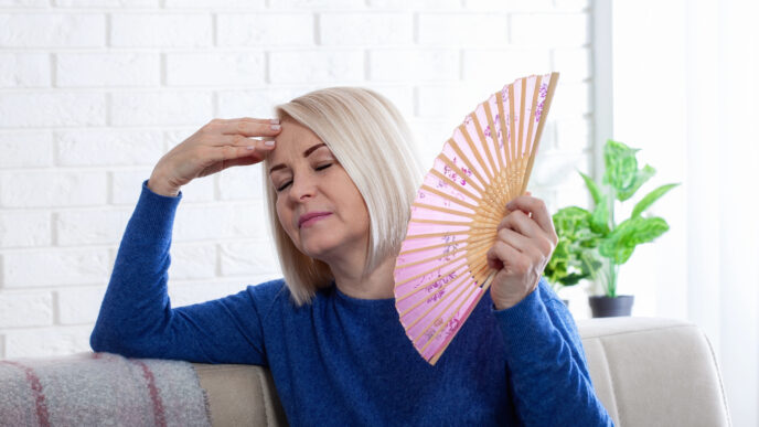 Perimenopauza