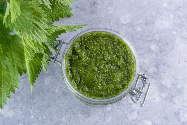žihľavové pesto