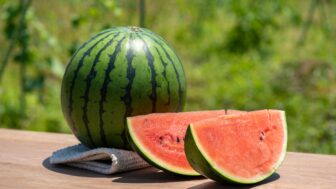 melón
