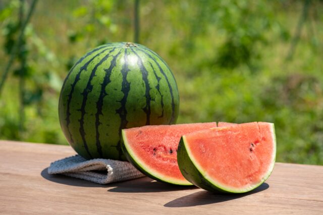 melón