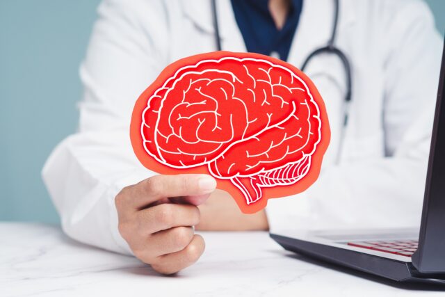 doktor držiaci maketu mozgu