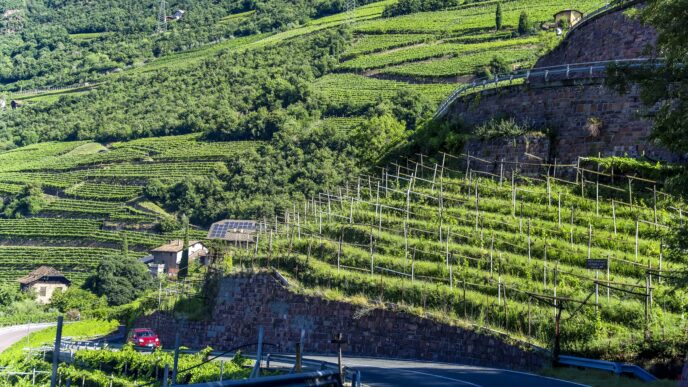 Val di Cembra