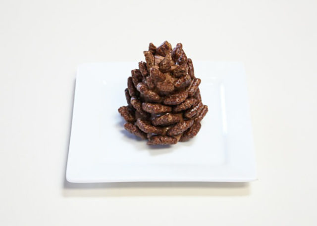 11 chocolate pinecone recipe 2