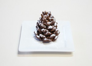12-chocolate-pinecone-recipe-2