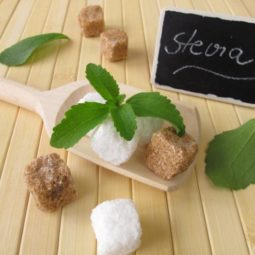 Stevia leaves and sugar cubes.jpg