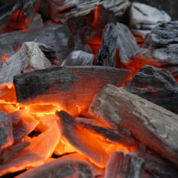 Hardwood bbq charcoal from russia.jpg