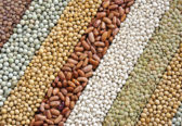 Mixture of dried lentils, peas, soybeans, beans - background