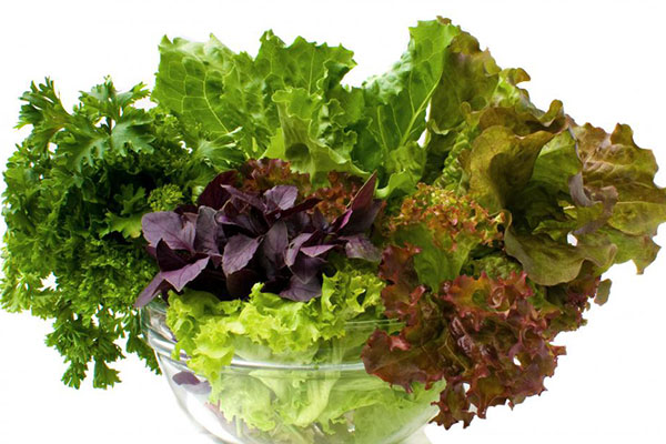 Salaty.jpg