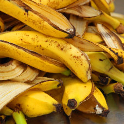 šupky od banánov