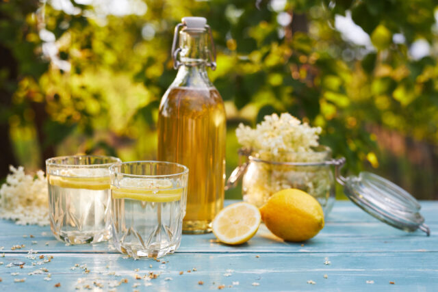 Bazový sirup: Prírodný elixír, ktorý spája chuť s blahodarnými účinkami