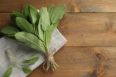Šalvia v kuchyni: Ako z tejto aromatickej bylinky vyťažiť maximum