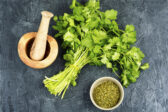 Domáca vegeta z ligurčeka: Prírodné korenie podľa vašich chutí