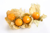 Physalis: malý plod s veľkou silou – chuťová aj zdravotná exotika