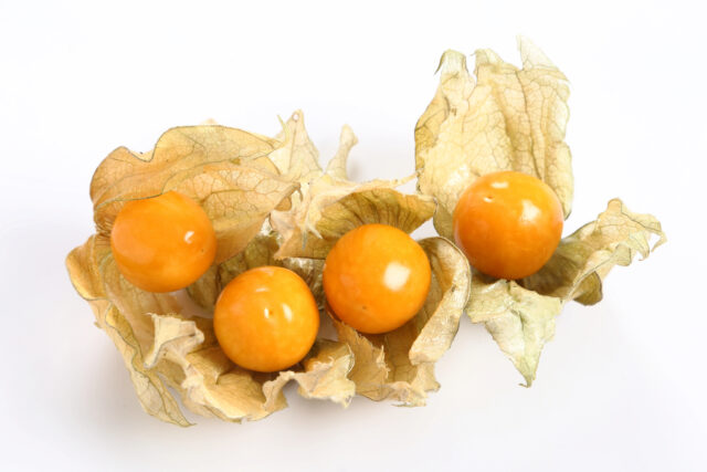 Physalis: malý plod s veľkou silou – chuťová aj zdravotná exotika