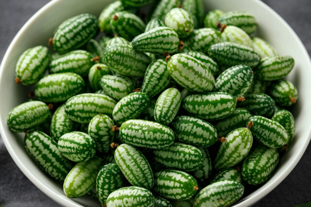 Cucamelon: drobná rastlinka s veľkým prekvapením. Spoznajte exotickú špecialitu, ktorú si vypestujete aj doma!