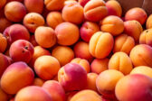 Marhule sú plné vitamínov