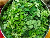 Moringa: zelený poklad, ktorý si zaslúži miesto vo vašom jedálničku