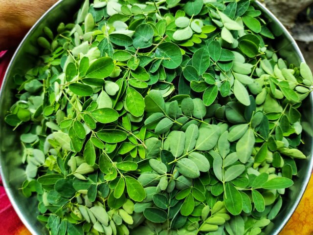 Moringa: zelený poklad, ktorý si zaslúži miesto vo vašom jedálničku