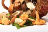 Hubová praženica: jednoduchý recept, ktorý zvládne každý
