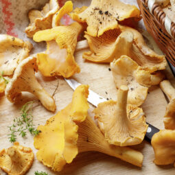 Pravá chuť jesene: Ako pripraviť hubovú praženicu, ktorá sa vždy vydarí