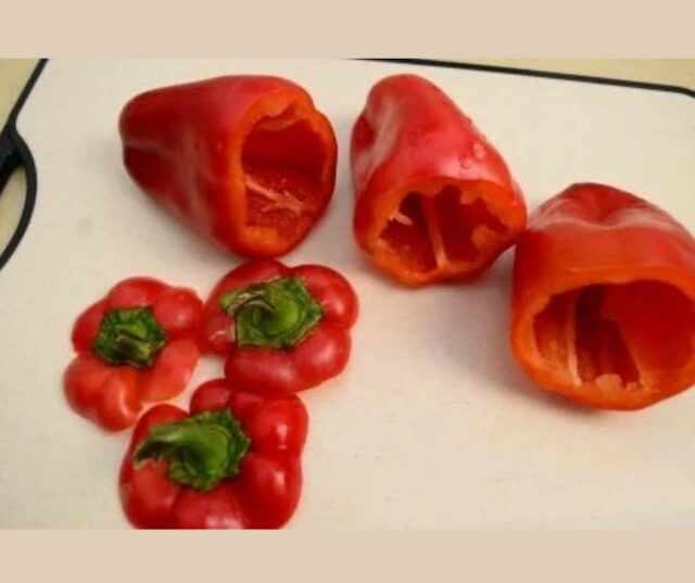 Paprika4.jpg