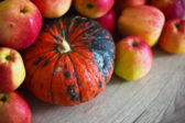 Jesenné poklady na tanieri: Tekvica, cvikla a jablká – prirodzená výživa pre silnú imunitu