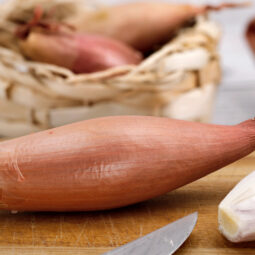 Šalotka: nenápadná hviezda kuchyne, ktorá prekvapí jemnosťou