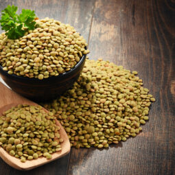 Klasická hnedá šošovica