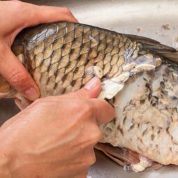Na čistenie kaprov poznali naše staré mamy šikovné triky