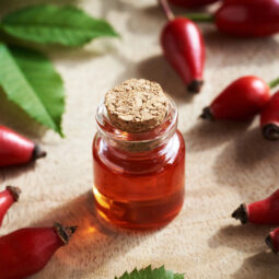 Šípkový olej: prírodná starostlivosť, ktorá sa hodí do studenej kuchyne