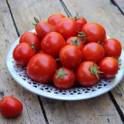 Čerstvé vs. konzervované paradajky: prekvapenie, ktoré neočakávate